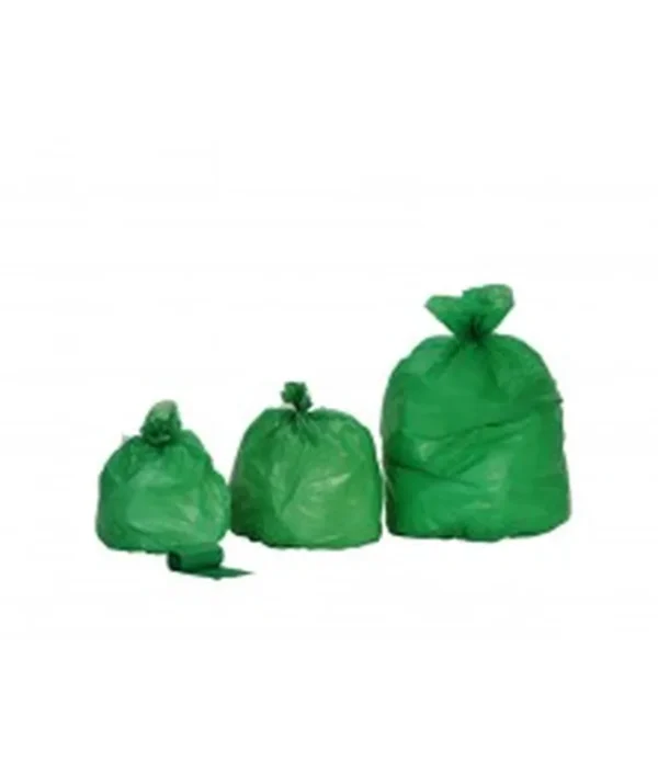 Sac poub.30 hd std s.e vert 500 x 650 11µ  (carton 500)
