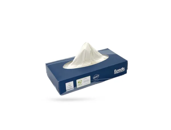 Mouchoirs Evadis blancs – 2 plis – Ecolabel – 40 x 100